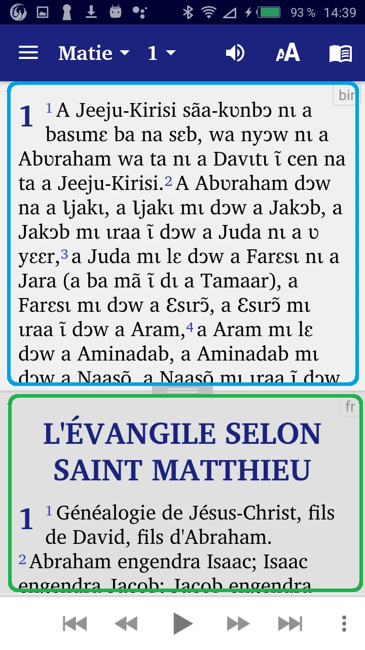 Birifor NT français English screenshot